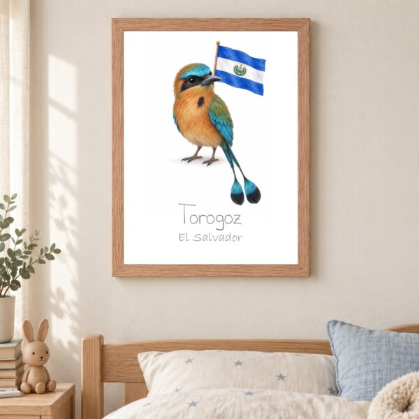 El Salvador national animal framed print in a kids bedroom, oak frame El Salvador national animal framed print in a kids bedroom, oak frame