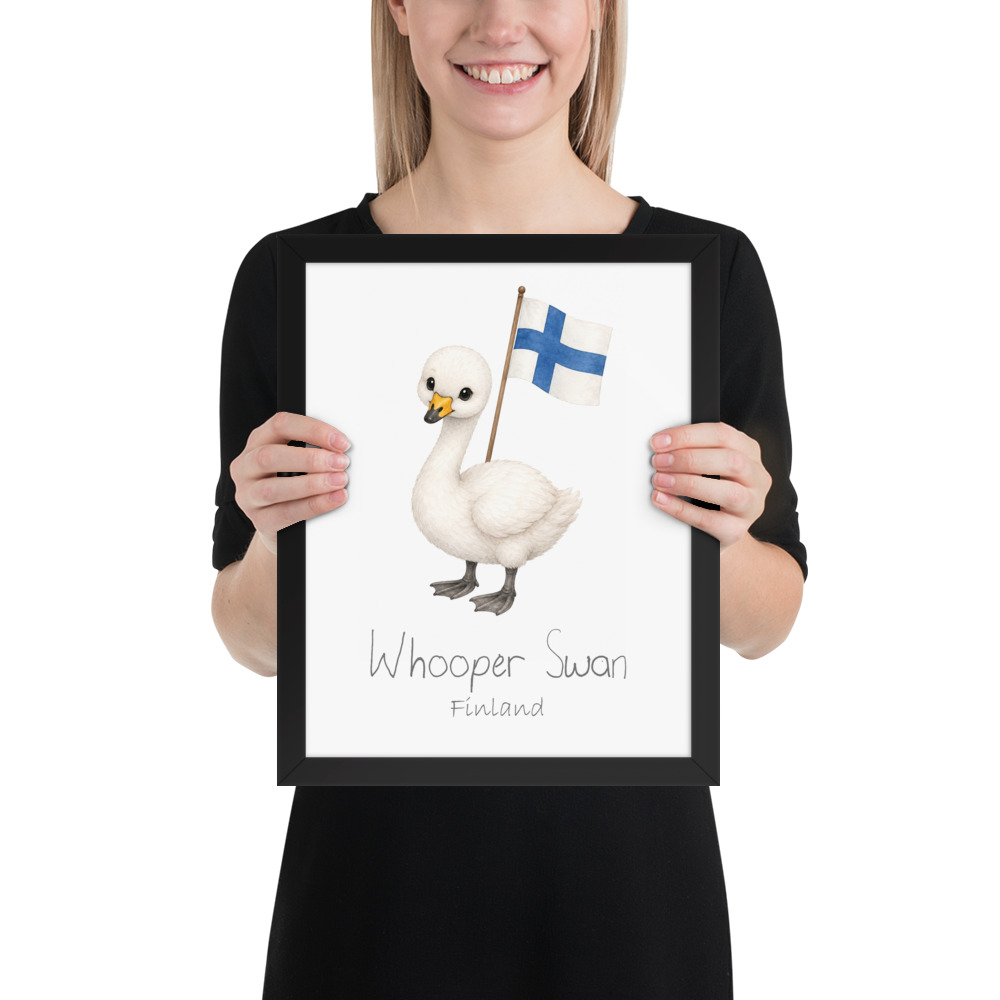 Whooper Swan Finland national animal framed print, black frame 11×14