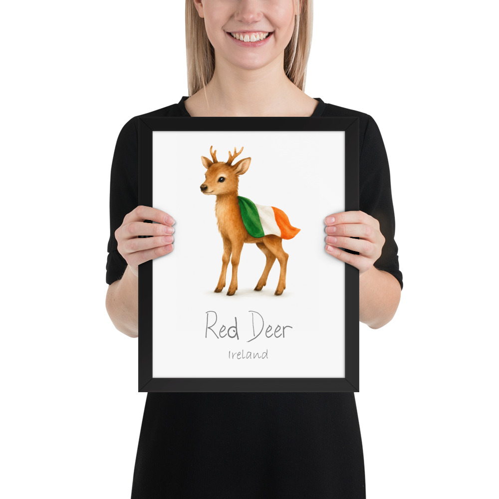 Red Deer Ireland national animal framed print, black frame 11×14