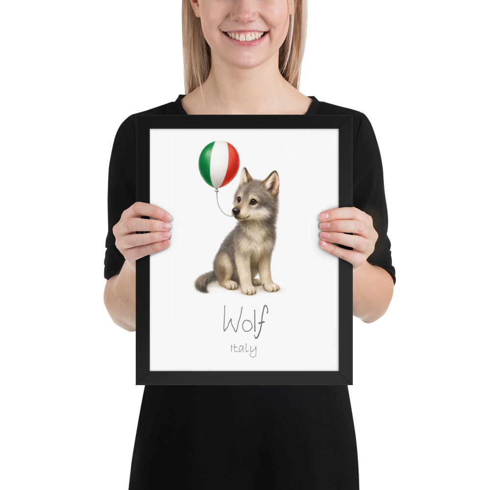Wolf Italy national animal framed print, black frame 11×14