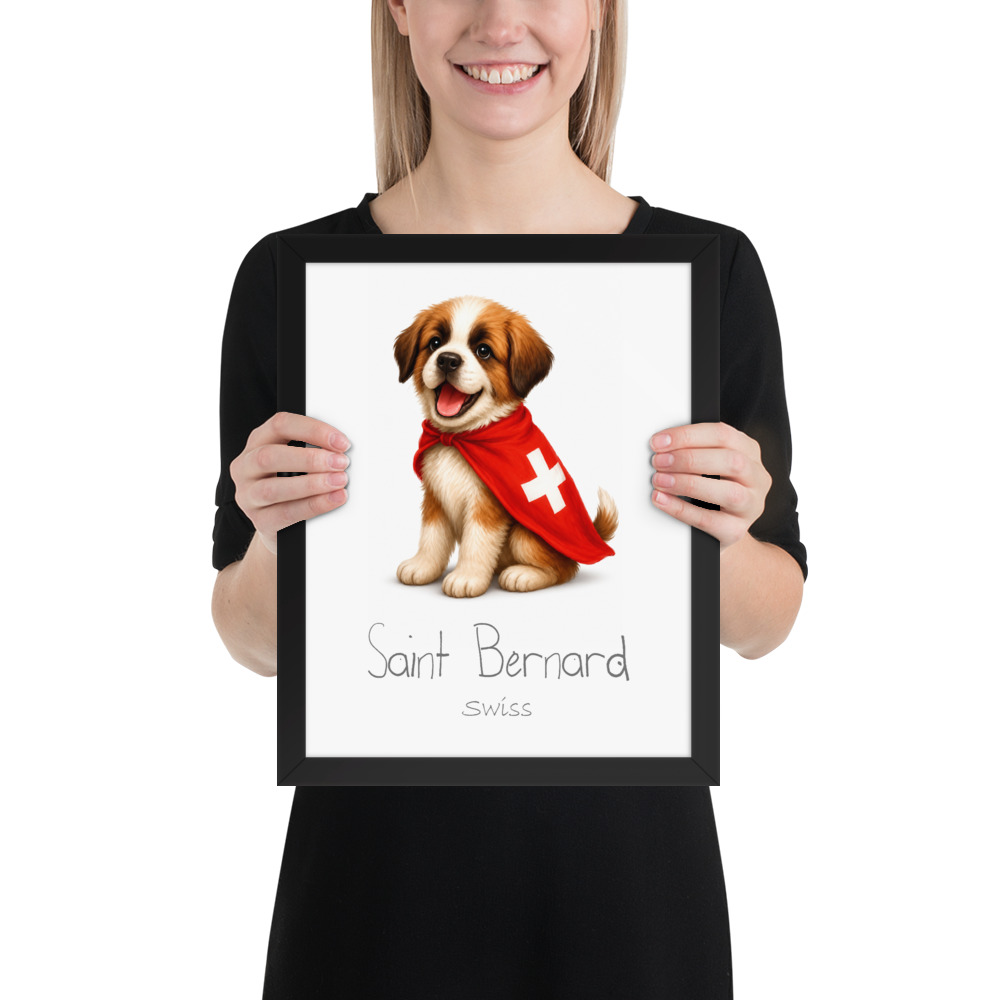 Saint Bernard Switzerland national animal framed print, black frame 11×14