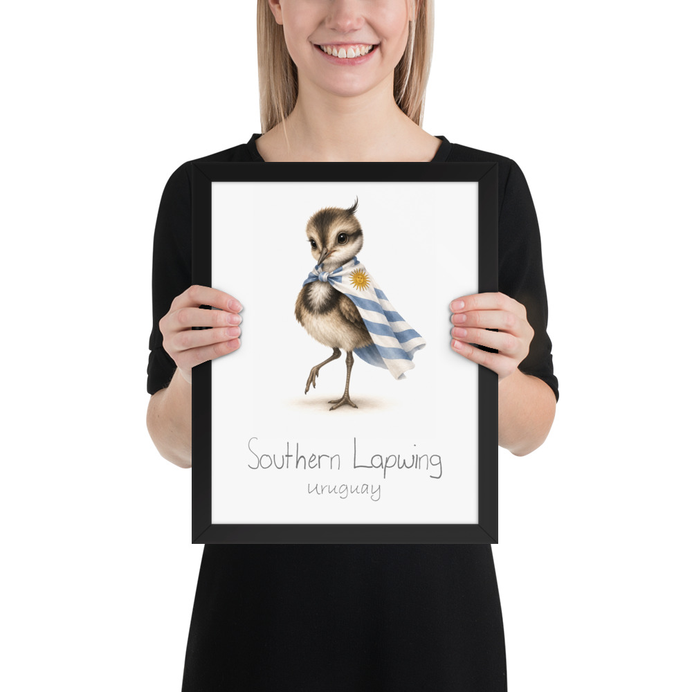 Southern Lapwing Uruguay national animal framed print, black frame 11×14