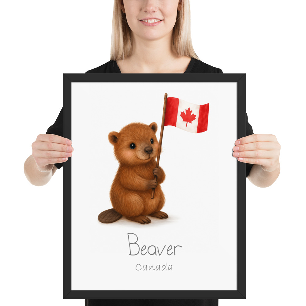 Beaver Canada national animal framed print, black frame 16×20