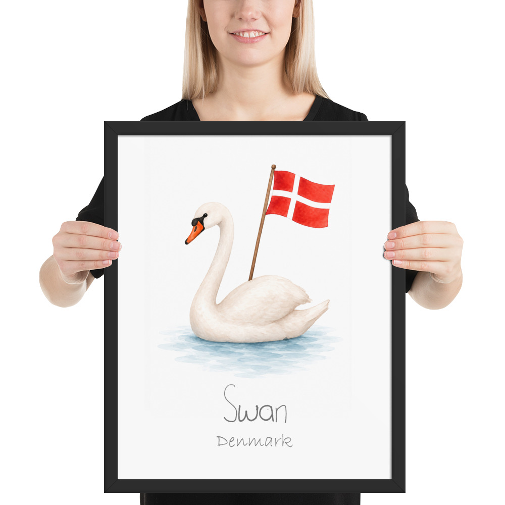 Swan Denmark national animal framed print, black frame 16×20