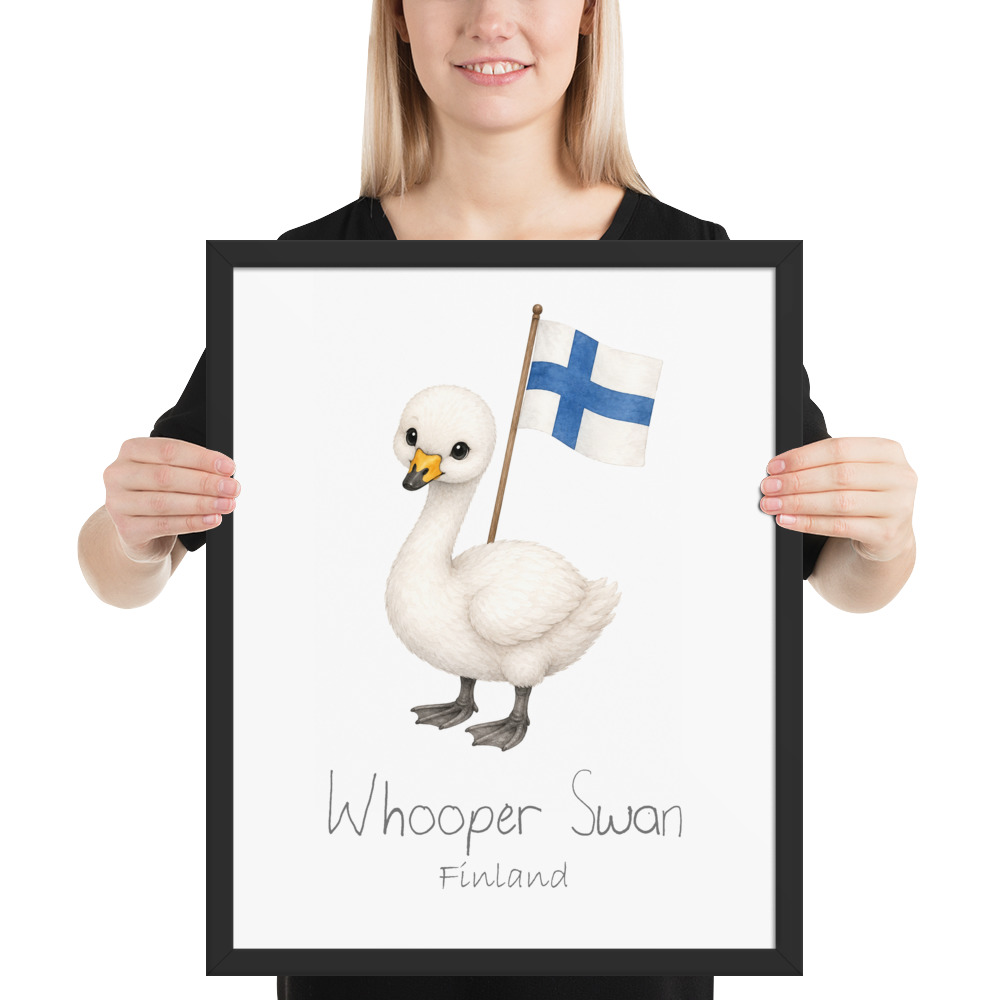 Whooper Swan Finland national animal framed print, black frame 16×20