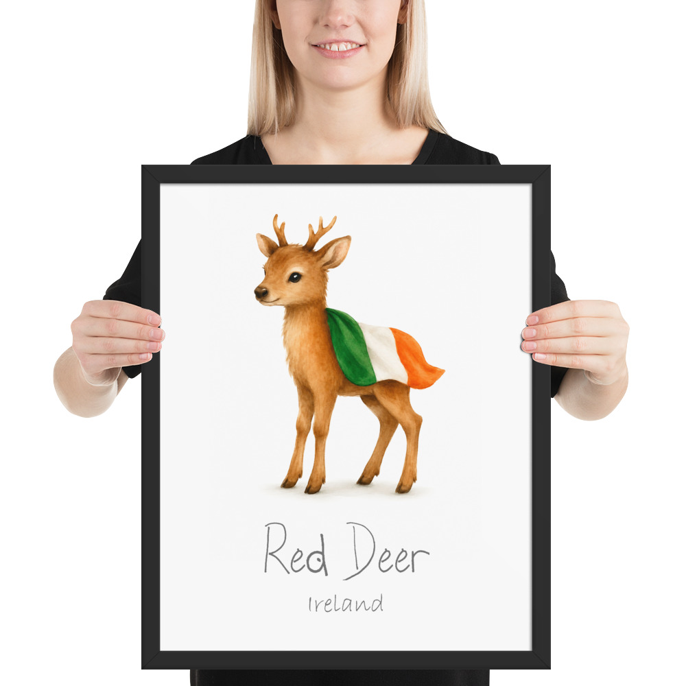 Red Deer Ireland national animal framed print, black frame 16×20