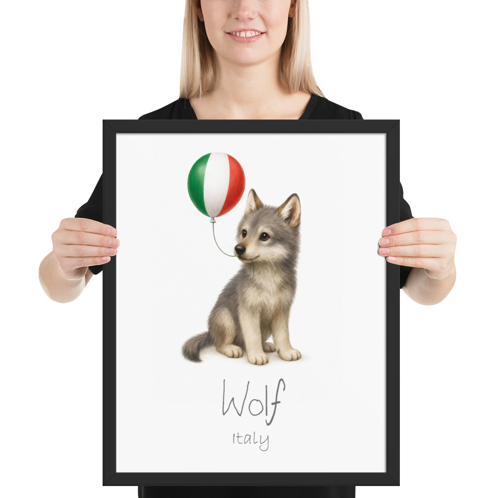 Wolf Italy national animal framed print, black frame 16×20