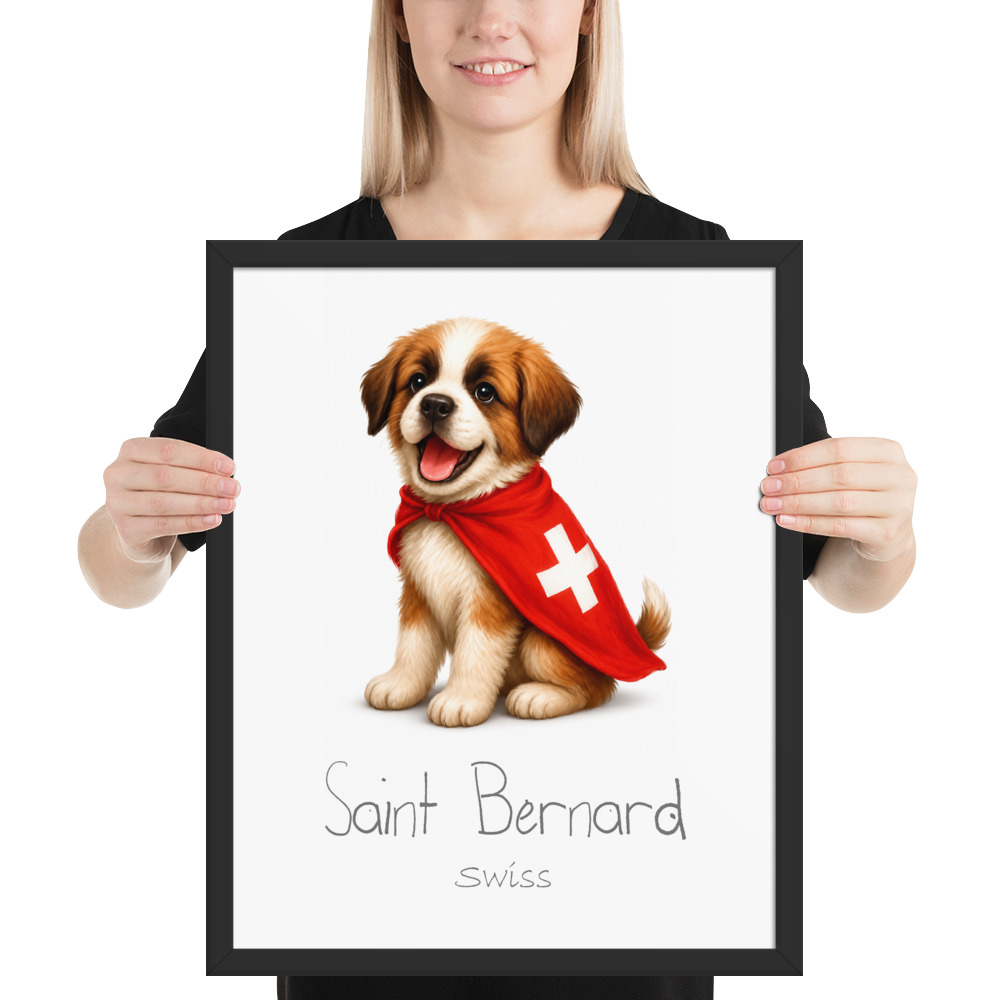 Saint Bernard Switzerland national animal framed print, black frame 16×20
