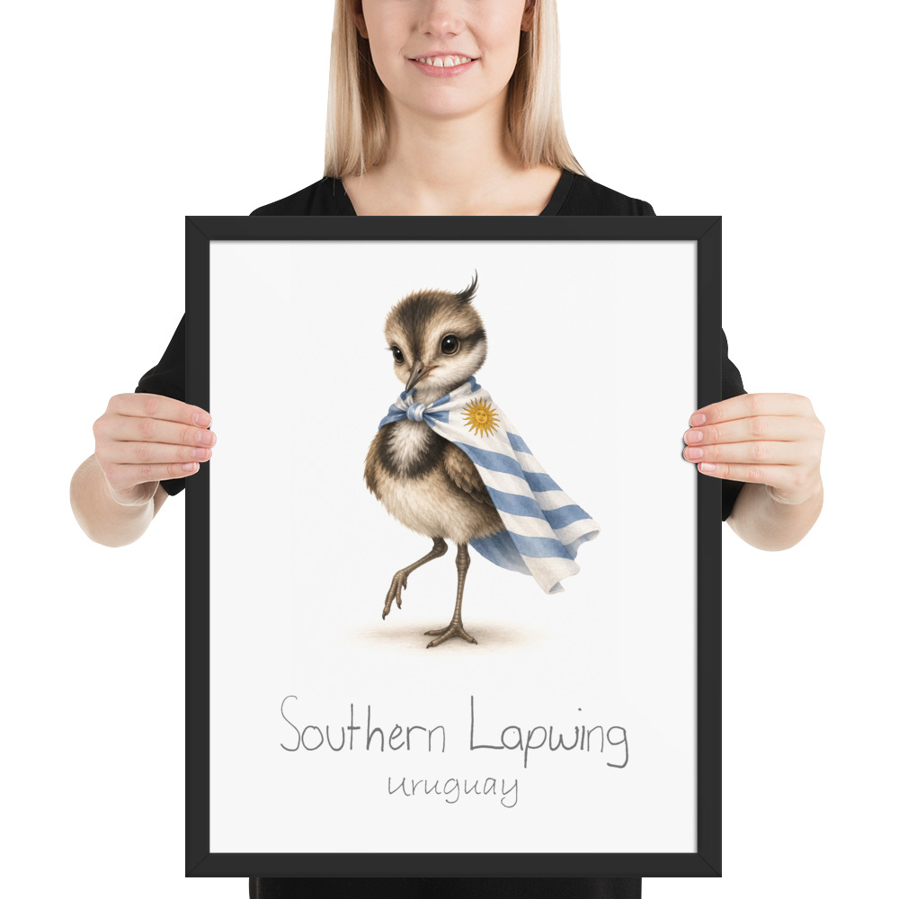 Southern Lapwing Uruguay national animal framed print, black frame 16×20
