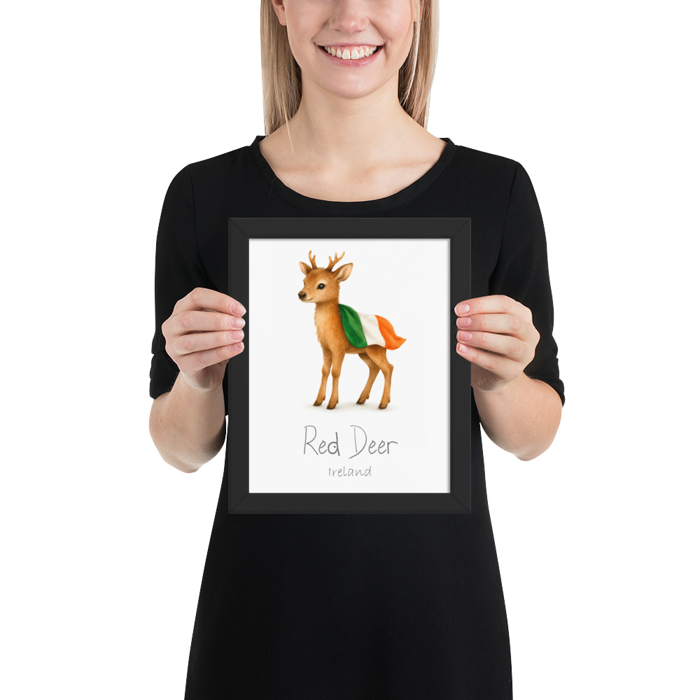 Red Deer Ireland national animal framed print, black frame 8×10
