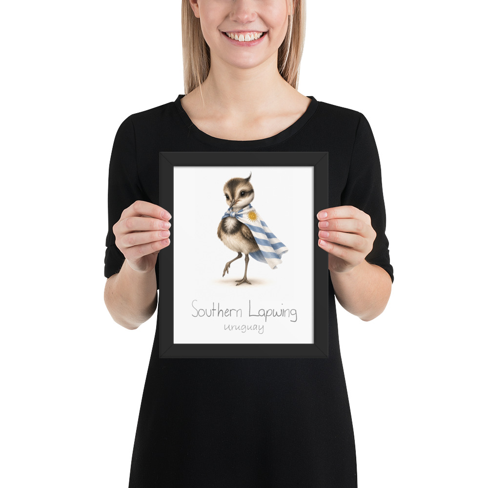 Southern Lapwing Uruguay national animal framed print, black frame 8×10
