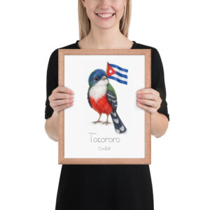 Tocororo Cuba national animal framed print, red oak frame 11×14 Tocororo Cuba national animal framed print, red oak frame 11×14