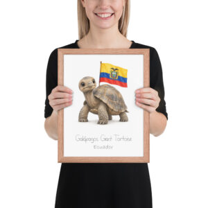 Giant Tortoise Ecuador national animal framed print, red oak frame 11×14 Giant Tortoise Ecuador national animal framed print, red oak frame 11×14