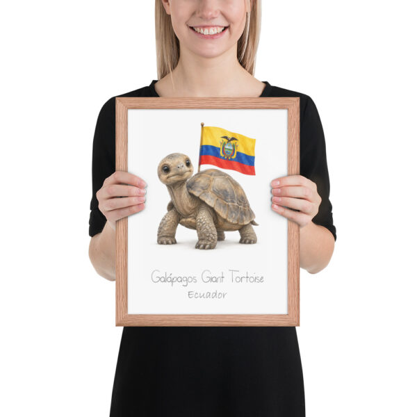 Giant Tortoise Ecuador national animal framed print, red oak frame 11×14 Giant Tortoise Ecuador national animal framed print, red oak frame 11×14
