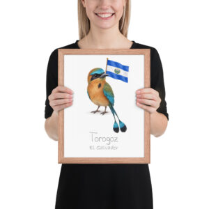 Torogoz El Salvador national animal framed print, red oak frame 11×14 Torogoz El Salvador national animal framed print, red oak frame 11×14