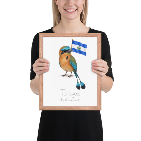 Torogoz El Salvador national animal framed print, red oak frame 11×14 Torogoz El Salvador national animal framed print, red oak frame 11×14