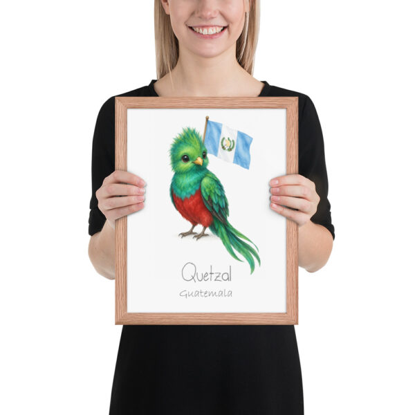 Quetzal Guatemala national animal framed print, red oak frame 11×14 Quetzal Guatemala national animal framed print, red oak frame 11×14