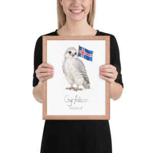 Gyrfalcon Iceland national animal framed print, red oak frame 11×14 Gyrfalcon Iceland national animal framed print, red oak frame 11×14