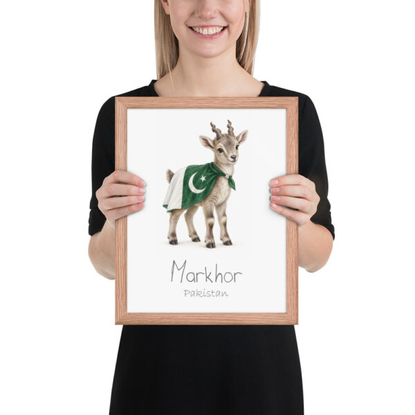 Markhor Pakistan national animal framed print, red oak frame 11×14 Markhor Pakistan national animal framed print, red oak frame 11×14
