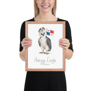 Harpy Eagle Panama national animal framed print, red oak frame 11×14 Harpy Eagle Panama national animal framed print, red oak frame 11×14
