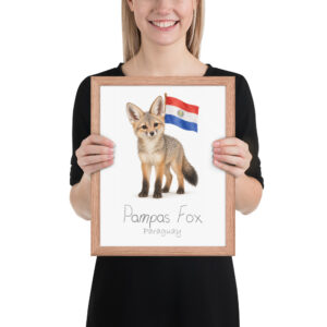 Pampas Fox Paraguay national animal framed print, red oak frame 11×14 Pampas Fox Paraguay national animal framed print, red oak frame 11×14