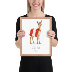Vicuña Peru national animal framed print, red oak frame 11×14 Vicuña Peru national animal framed print, red oak frame 11×14