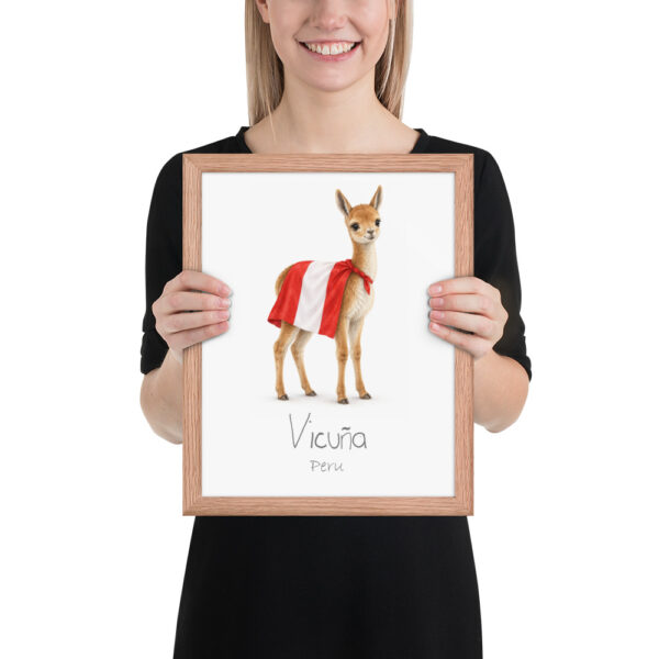 Vicuña Peru national animal framed print, red oak frame 11×14 Vicuña Peru national animal framed print, red oak frame 11×14