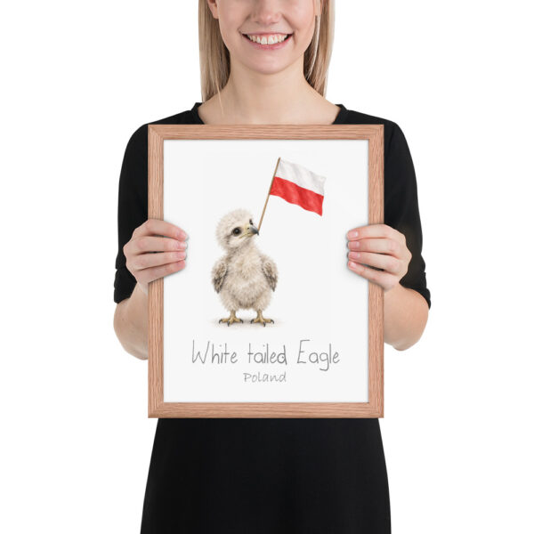 White-tailed Eagle Poland national animal framed print, red oak frame 11×14 White-tailed Eagle Poland national animal framed print, red oak frame 11×14