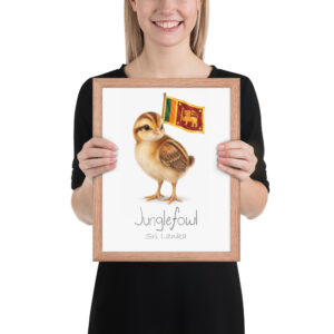 Junglefowl Sri Lanka national animal framed print, red oak frame 11×14 Junglefowl Sri Lanka national animal framed print, red oak frame 11×14