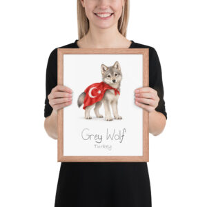 Grey Wolf Turkey national animal framed print, red oak frame 11×14 Grey Wolf Turkey national animal framed print, red oak frame 11×14