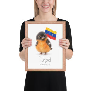 Turpial Venezuela national animal framed print, red oak frame 11×14 Turpial Venezuela national animal framed print, red oak frame 11×14