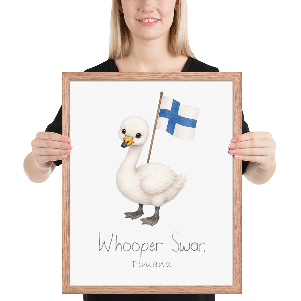 Whooper Swan Finland national animal framed print, red oak frame 16×20