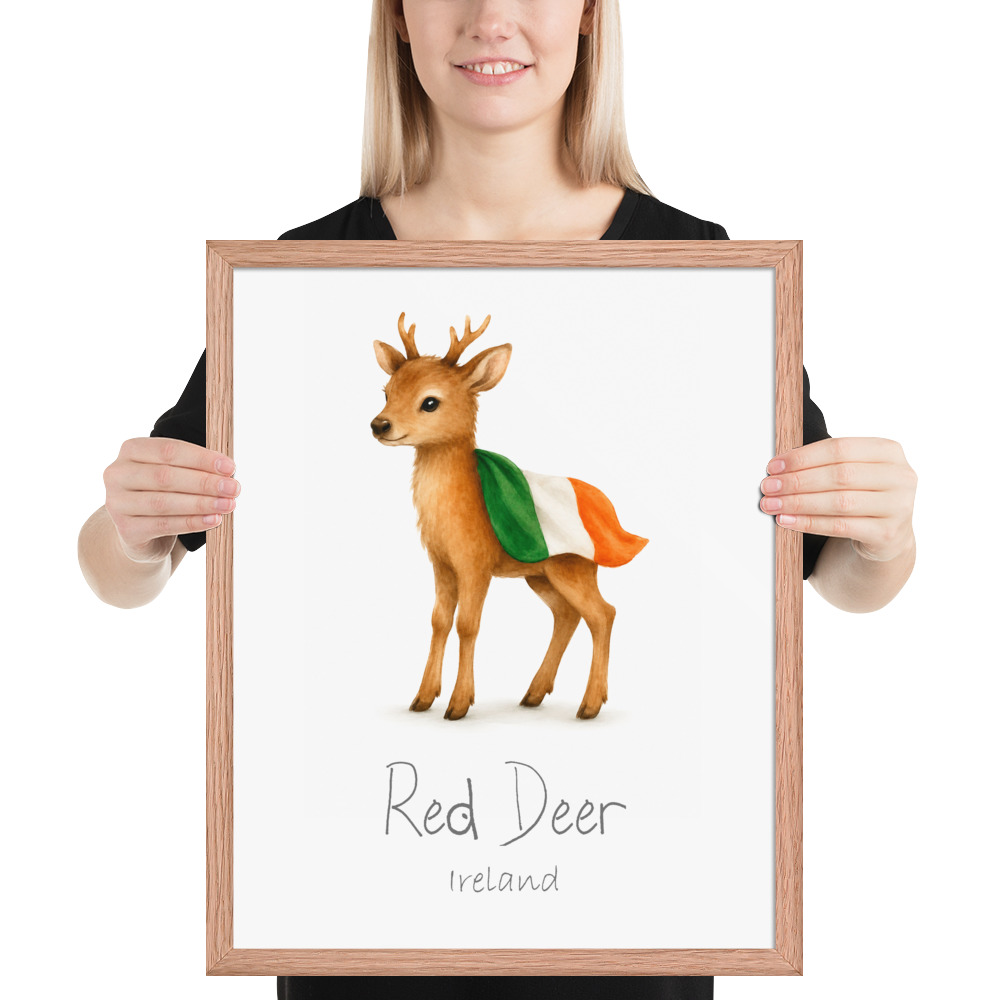 Red Deer Ireland national animal framed print, red oak frame 16×20