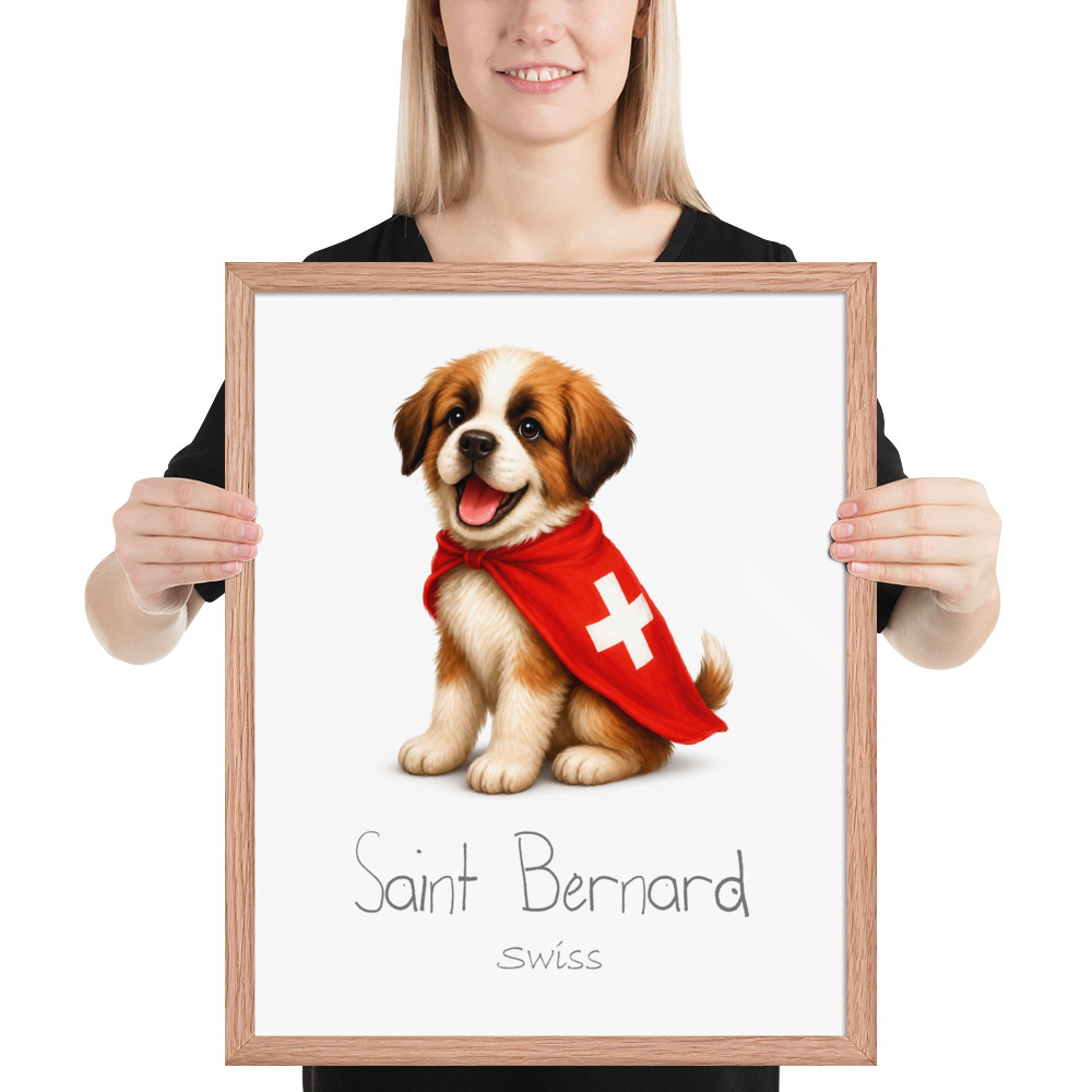 Saint Bernard Switzerland national animal framed print, red oak frame 16×20