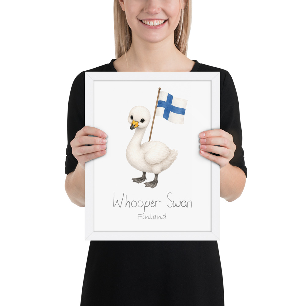 Whooper Swan Finland national animal framed print, white frame 11×14