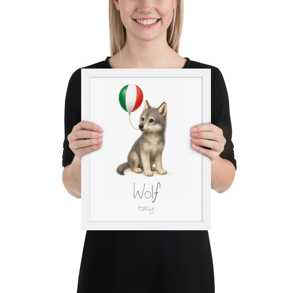 Wolf Italy national animal framed print, white frame 11×14