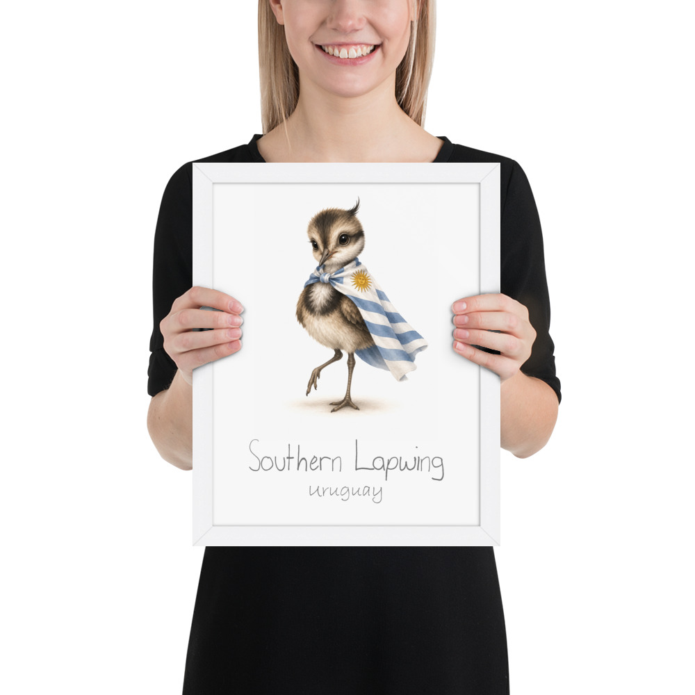Southern Lapwing Uruguay national animal framed print, white frame 11×14