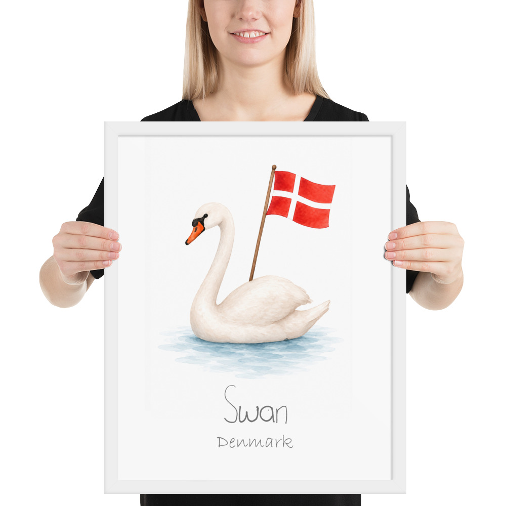 Swan Denmark national animal framed print, white frame 16×20