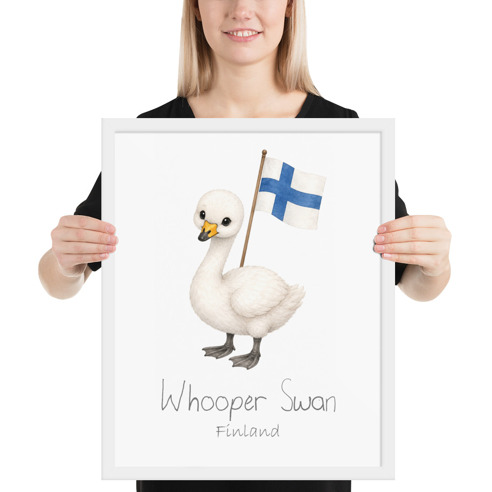 Whooper Swan Finland national animal framed print, white frame 16×20