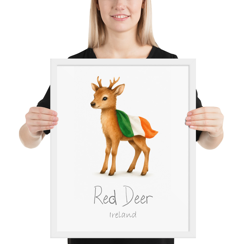 Red Deer Ireland national animal framed print, white frame 16×20