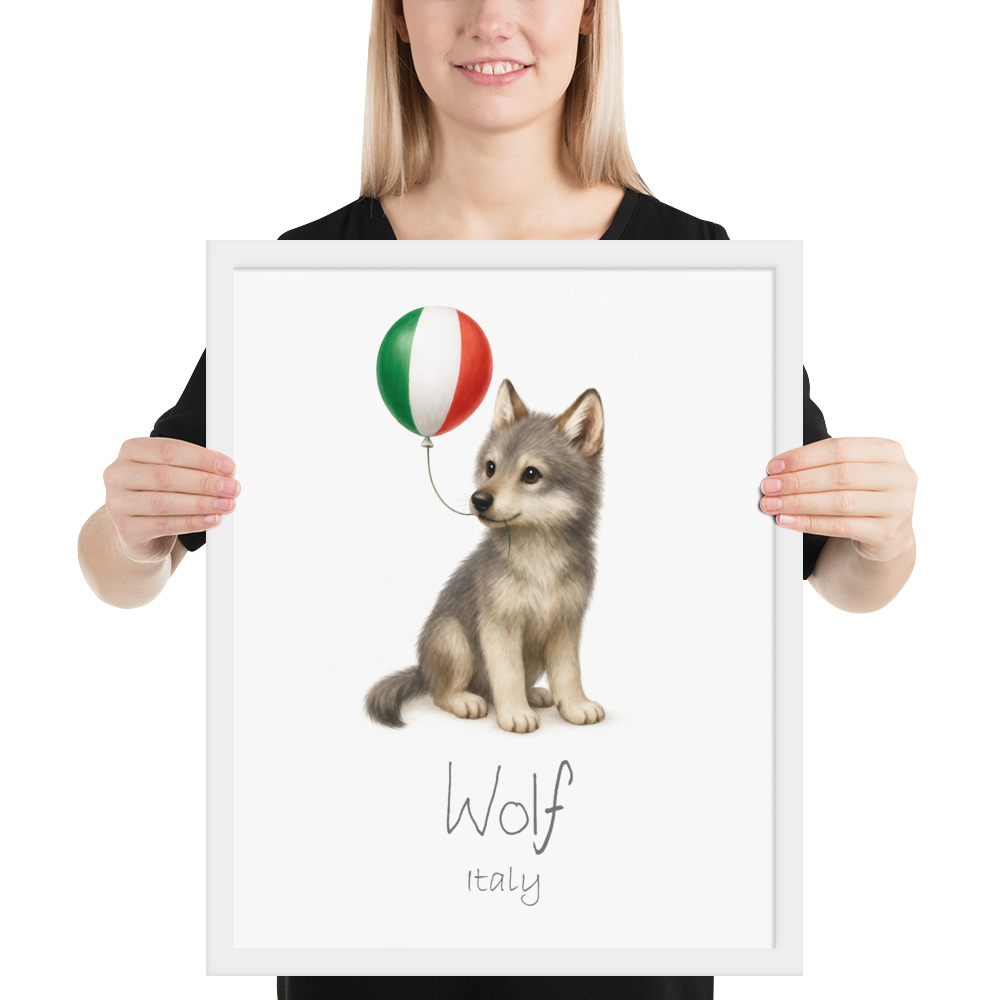 Wolf Italy national animal framed print, white frame 16×20