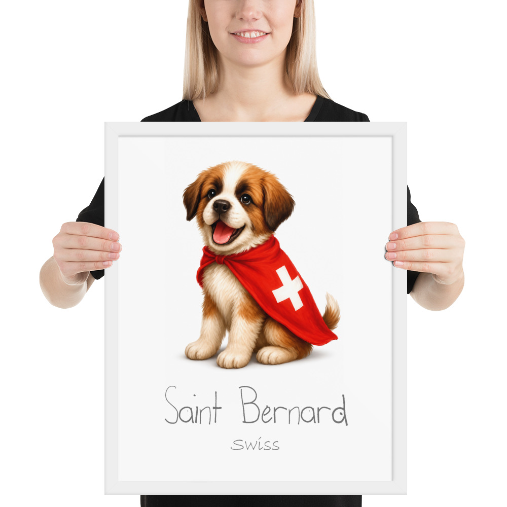 Saint Bernard Switzerland national animal framed print, white frame 16×20