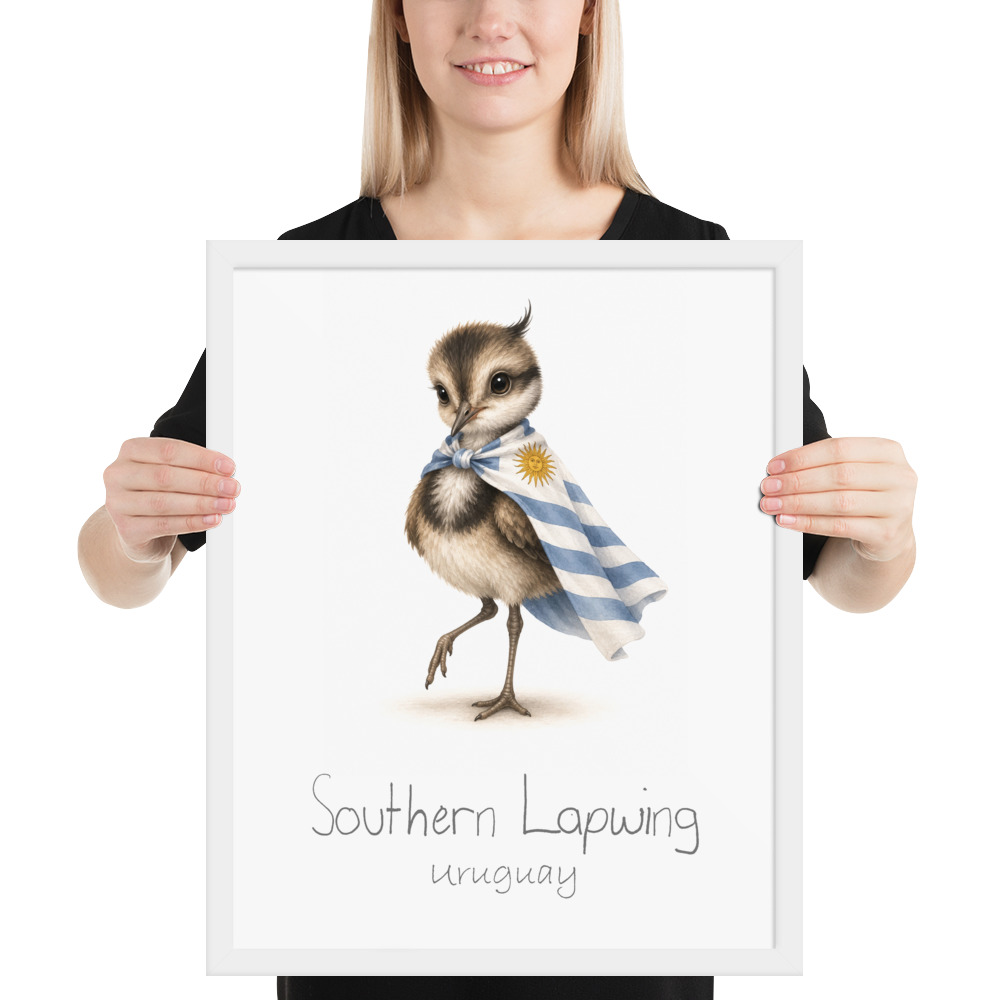 Southern Lapwing Uruguay national animal framed print, white frame 16×20