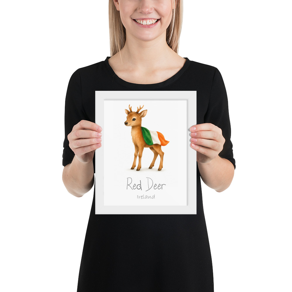Red Deer Ireland national animal framed print, white frame 8×10