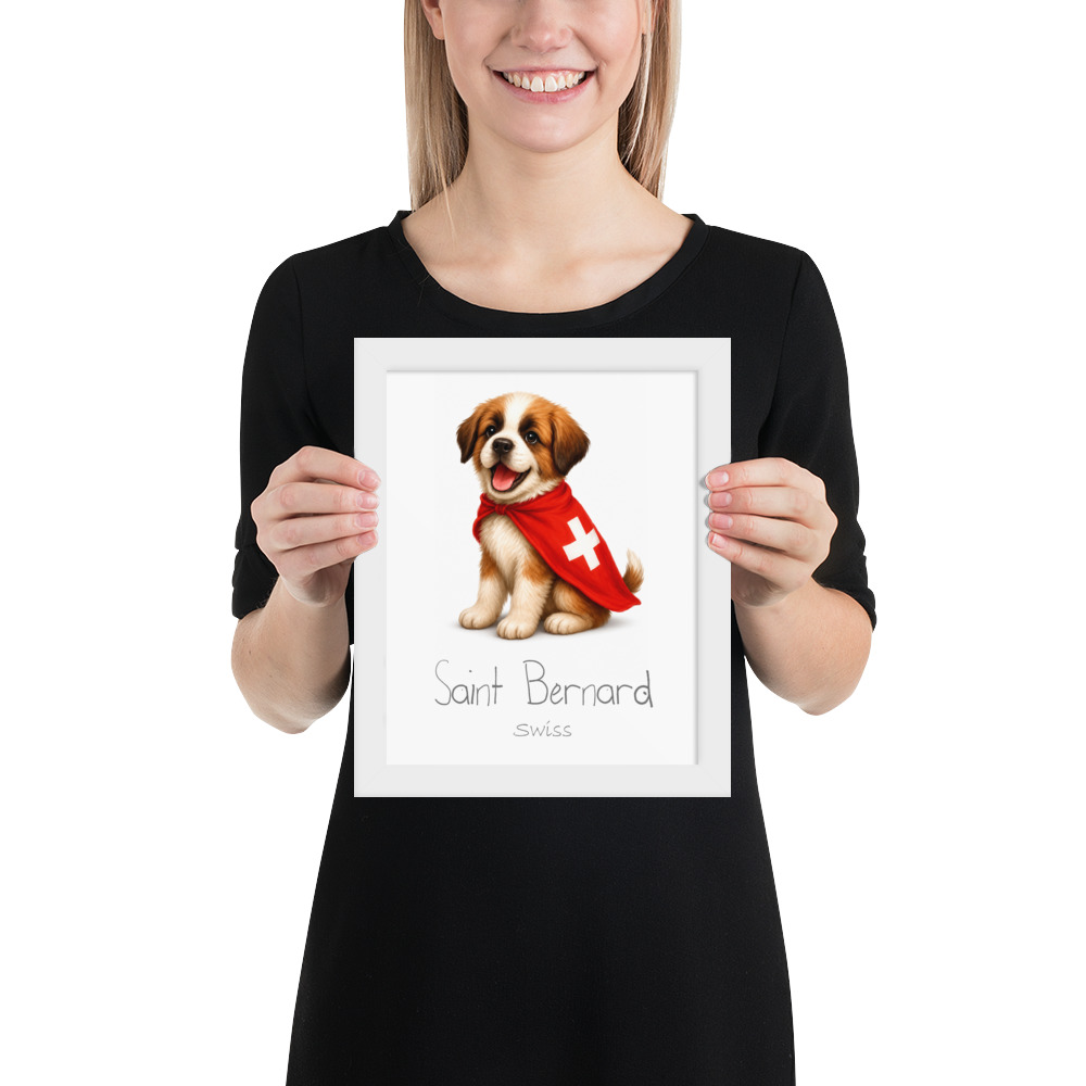 Saint Bernard Switzerland national animal framed print, white frame 8×10