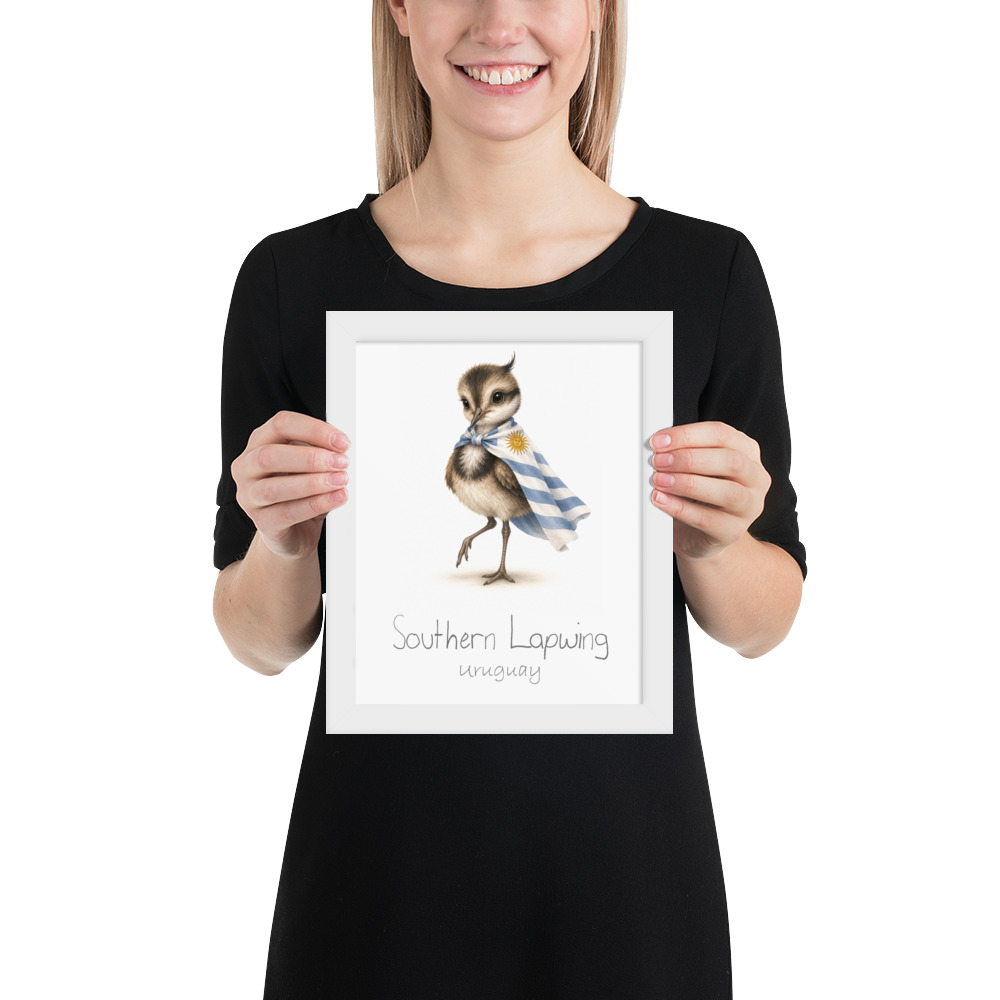 Southern Lapwing Uruguay national animal framed print, white frame 8×10